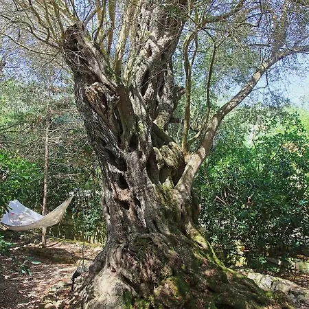 Villa Prasini Luxury Ozias